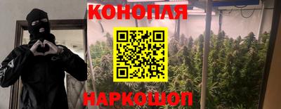 ГАЛЛЮЦИНОГЕННЫЕ ГРИБЫ Моздок