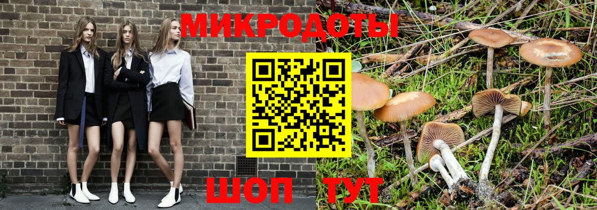 Псилоцибиновые грибы Cubensis  Псилоцибиновые грибы мухоморы  Славгород  Вход с VPN 